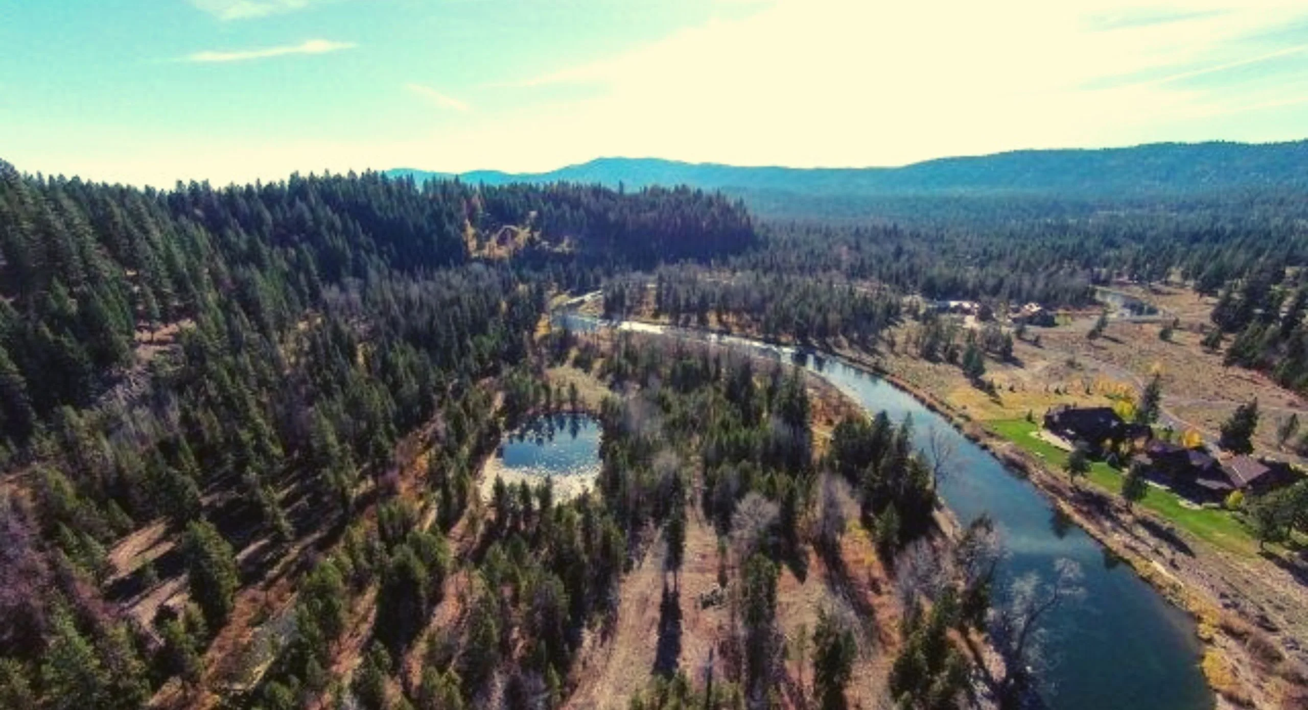 Aerial view of the Payette River braiding through pasture.